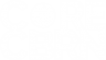 Core CBRN logo