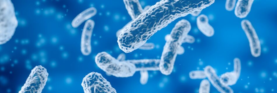 Biological agents and Toxins Course